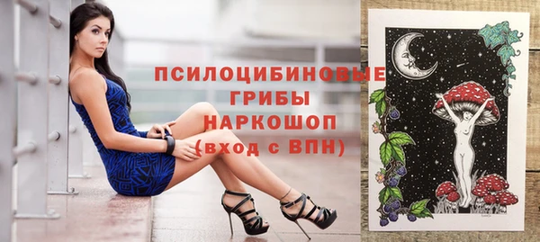 spice Струнино