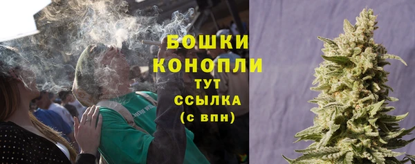 spice Струнино